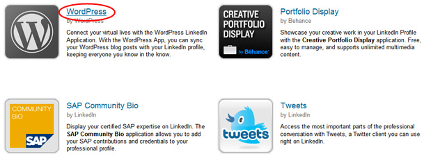 LinkedIn WordPress 3