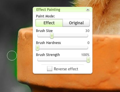 Brisanje nezeljene boje