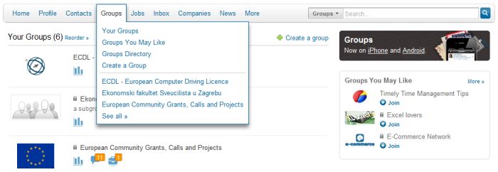 LinkedIn grupe