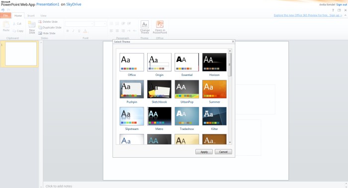 SkyDrive