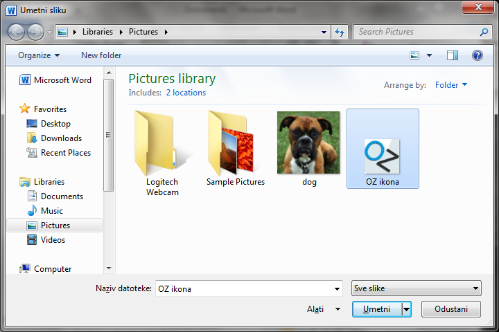 Word bullet picture insert