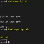 Razumijevanje Bash-a: Vodič za Linux administratore