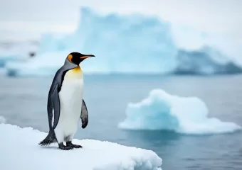 Linux kernel 6.12 – Nova era performansi i mogućnosti