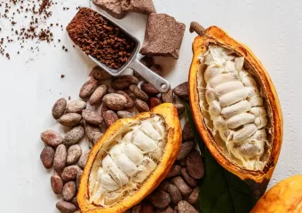 Čokolada ima problem održivosti. Znanost misli da je pronašla odgovor