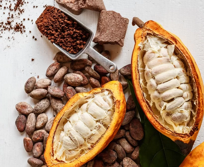 Čokolada ima problem održivosti. Znanost misli da je pronašla odgovor