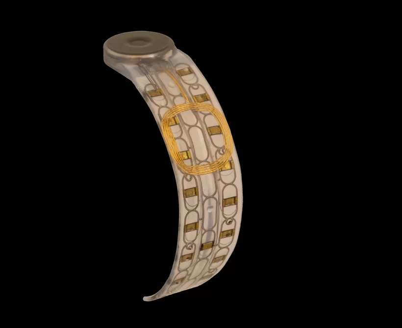 Mišićni implantati mogli bi omogućiti protetiku kontroliranu umom—nije potrebna operacija mozga