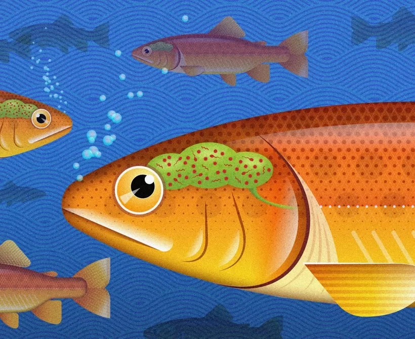 Mogu li ljudi imati mikrobiom mozga?