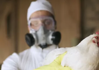 Prva smrt od ptičje gripe u SAD-u ozbiljno je upozorenje