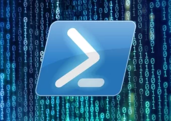 The Ultimate Guide for Beginners