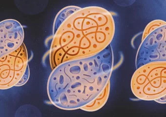 Znanstvenici stvaraju uvjete koji su izazvali složen život