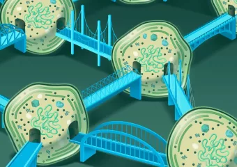 Život na zemlji ovisi o mrežama oceanskih bakterija