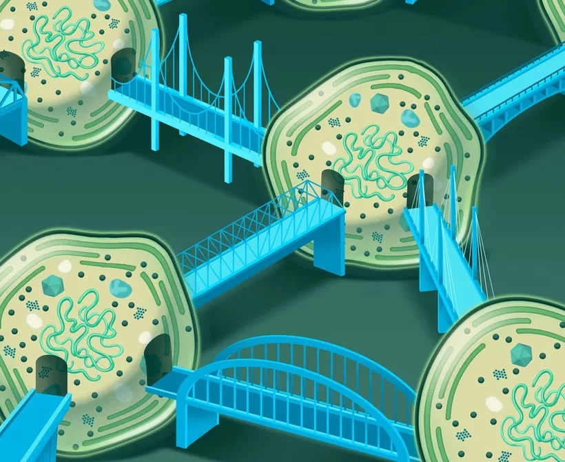 Život na zemlji ovisi o mrežama oceanskih bakterija