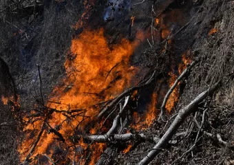 Ekstremni vremenski uvjeti koji su pokrenuli požare Caroline