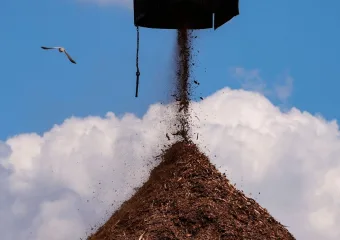 Drvene mlinice peleta sklone su vatri. Zašto ih graditi u Kaliforniji?