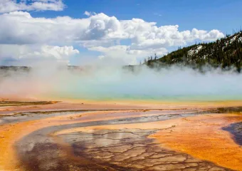 Ove novootkrivene stanice diše na dva načina