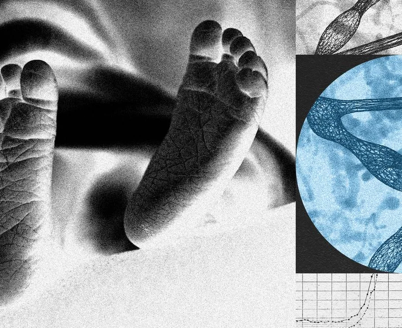 Novi startup želi uređivati ​​ljudske embrije