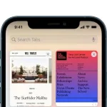 Surađujte sa svojim timom koristeći safari kartice u iOS -u 16