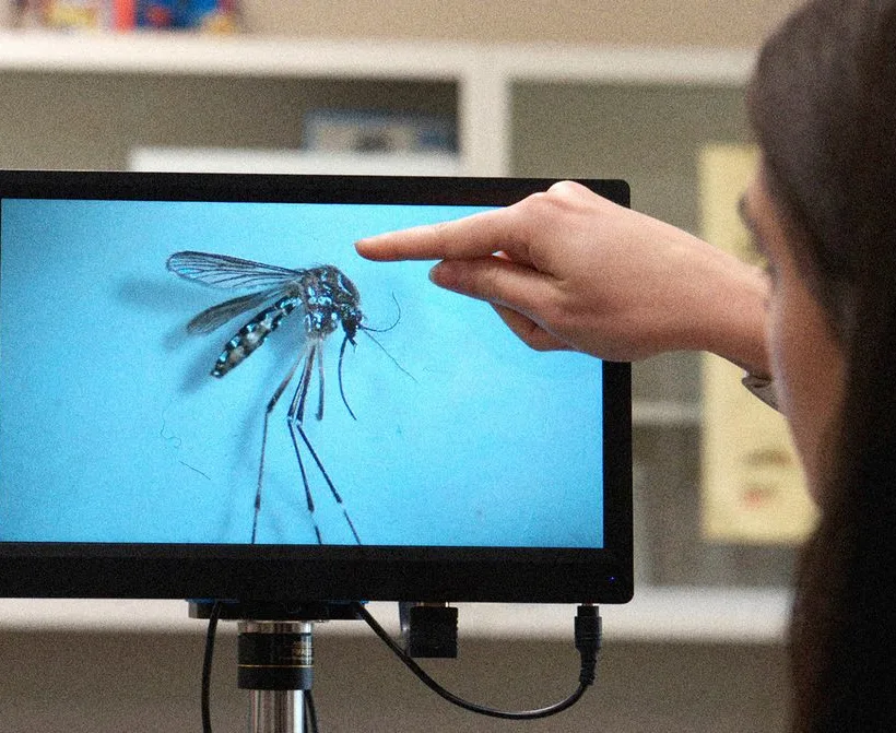 Invazivni komarac koji prenosi bolesti proširio se na Stjenjake