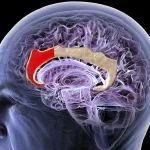 Ovaj kineski startup želi izgraditi novo sučelje mozak-računalo — nije potreban implantat