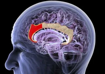 Ovaj kineski startup želi izgraditi novo sučelje mozak-računalo — nije potreban implantat