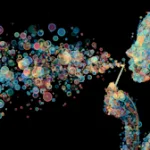 Prestanite to zvati ‘mjehurić umjetne inteligencije’: to je zapravo više mjehurića, svaki s različitim datumom isteka