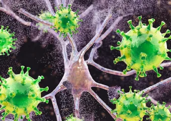 Ospice uzrokuju oticanje mozga kod djece u Južnoj Karolini