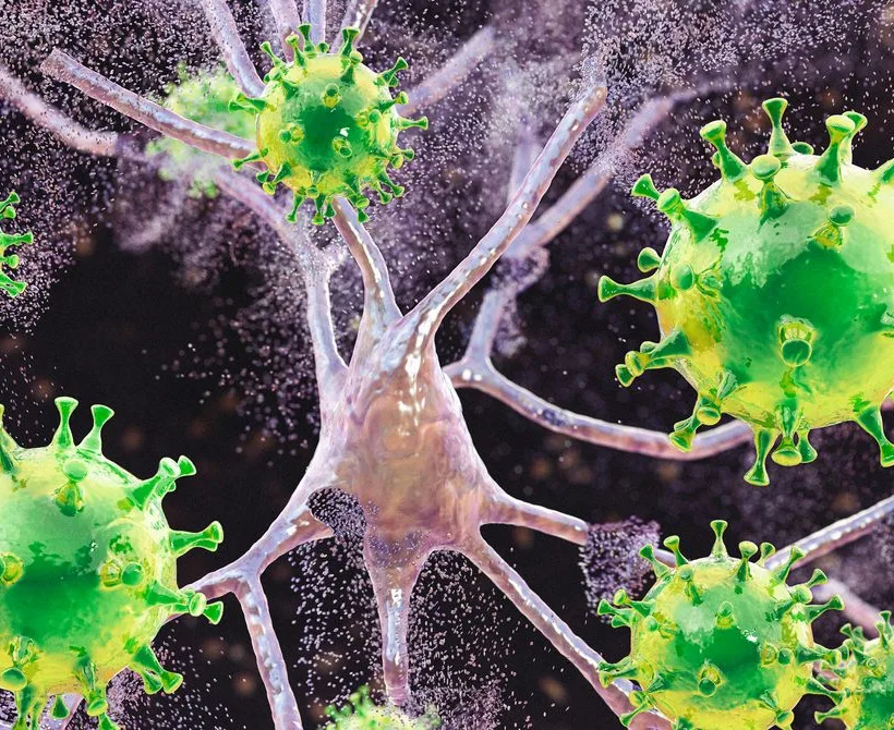 Ospice uzrokuju oticanje mozga kod djece u Južnoj Karolini