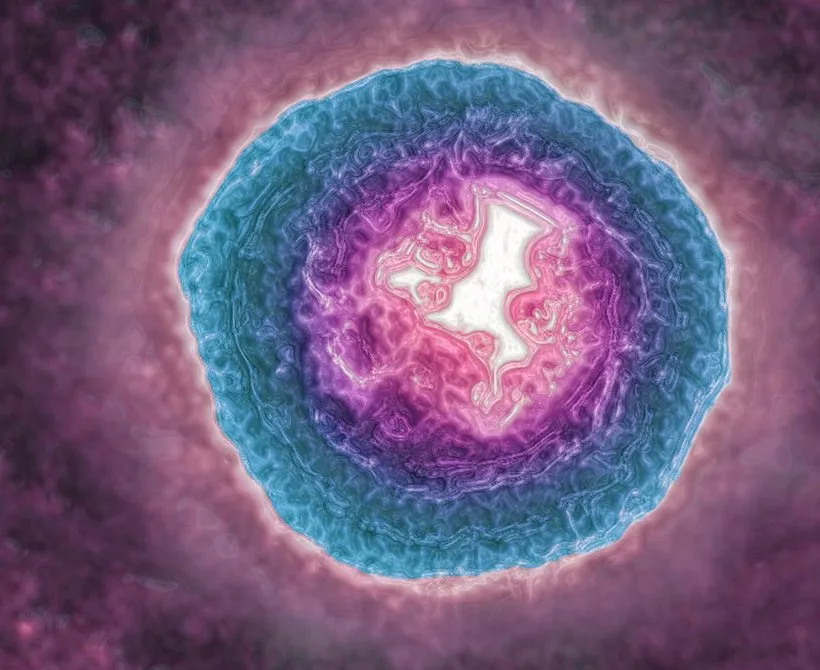 Virus herpesa može vas brže stariti